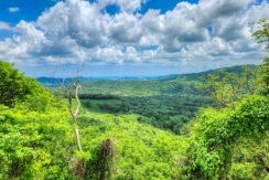 Developer’s Last Estates, up to 40 acres