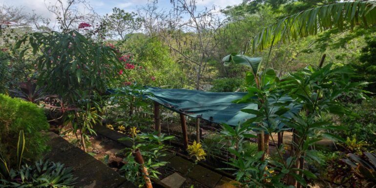 Casa-Angel-garden-1-Horizonte-Nica-scaled