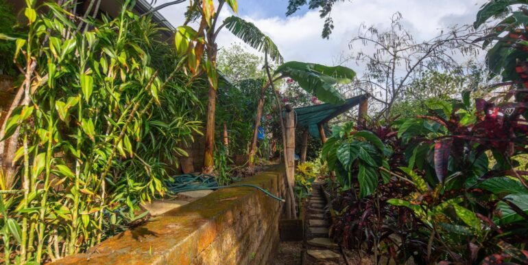 Casa-Angel-garden-2-Horizonte-Nica-scaled