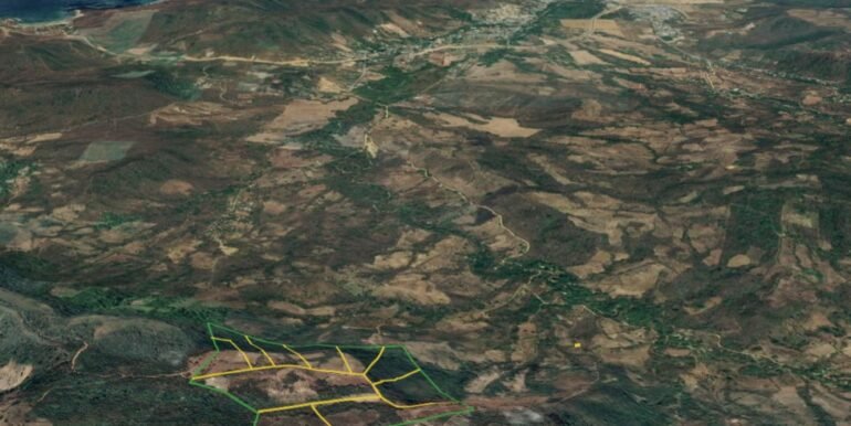 Lots All Available 2