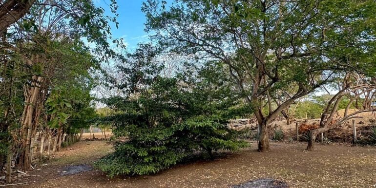 WhatsApp-Image-2024-02-07-at-12.47.34-PM