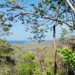 Boundless Forested Opportunity in Baston! 20 acres Boundless Forested Opportunity in Baston! 20 acres