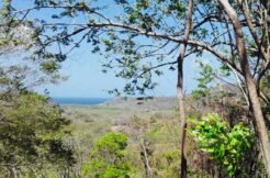 Boundless Forested Opportunity in Baston! 20 acres