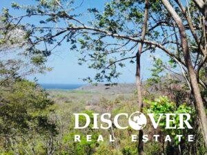 Boundless Forested Opportunity in Baston! 20 acres