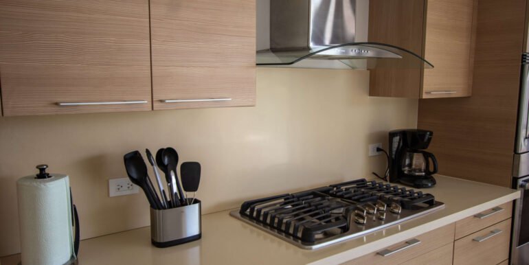 4B718FA9-5E8A-43CC-AC43-52A254084655_16