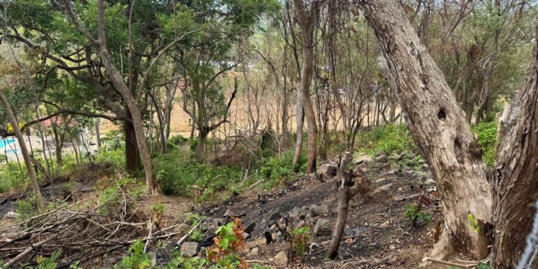 WhatsApp Image 2025-05-27 at 13.34.11 (1)