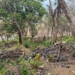 3 Acres located beside the Las Escadas Pickleball Courts