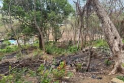 3 Acres located beside the Las Escadas Pickleball Courts