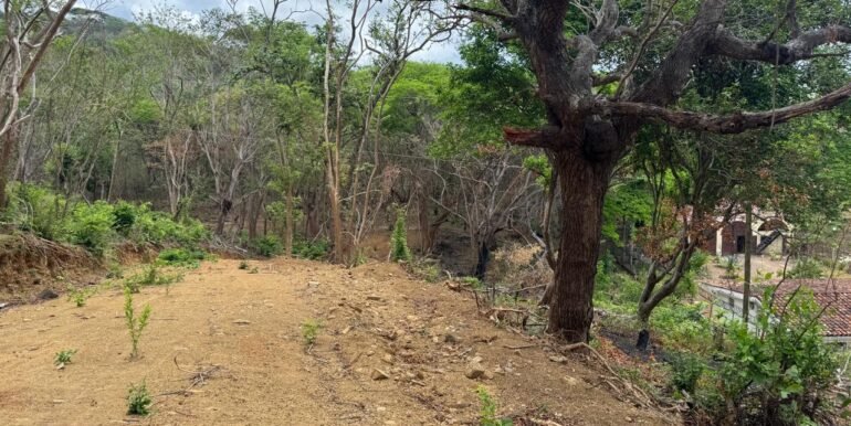 WhatsApp Image 2025-05-27 at 13.34.11 (3)