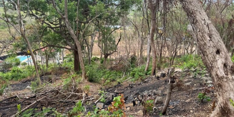 WhatsApp Image 2025-05-27 at 13.34.11