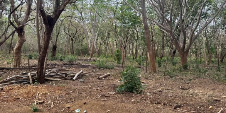 WhatsApp Image 2025-05-27 at 13.34.12 (10)