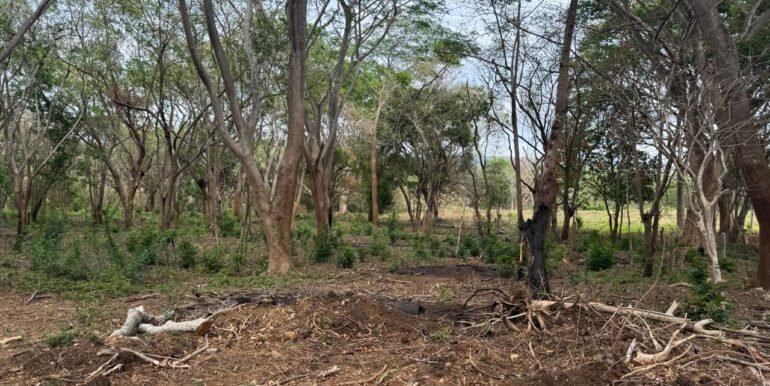 WhatsApp Image 2025-05-27 at 13.34.12 (11)