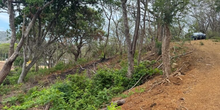 WhatsApp Image 2025-05-27 at 13.34.12 (12)