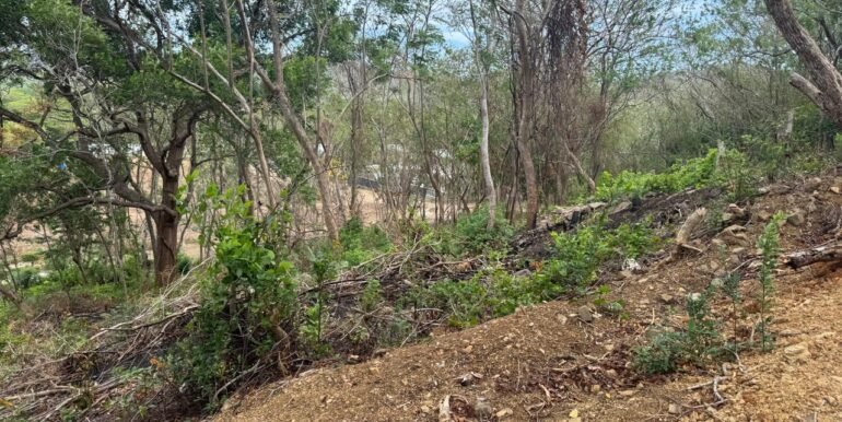 WhatsApp Image 2025-05-27 at 13.34.12 (14)