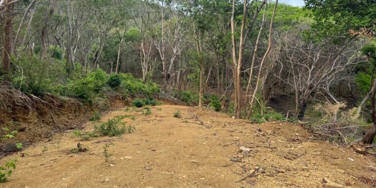 WhatsApp Image 2025-05-27 at 13.34.12 (15)