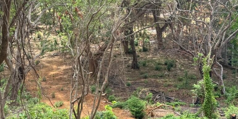 WhatsApp Image 2025-05-27 at 13.34.12 (2)