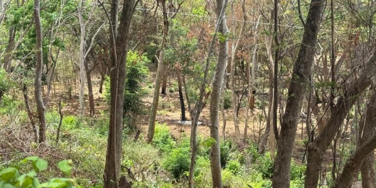 WhatsApp Image 2025-05-27 at 13.34.12 (3)