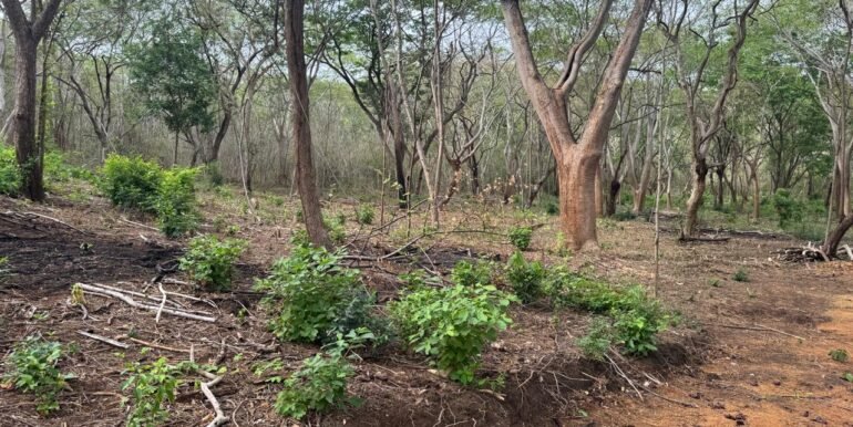 WhatsApp Image 2025-05-27 at 13.34.12 (4)