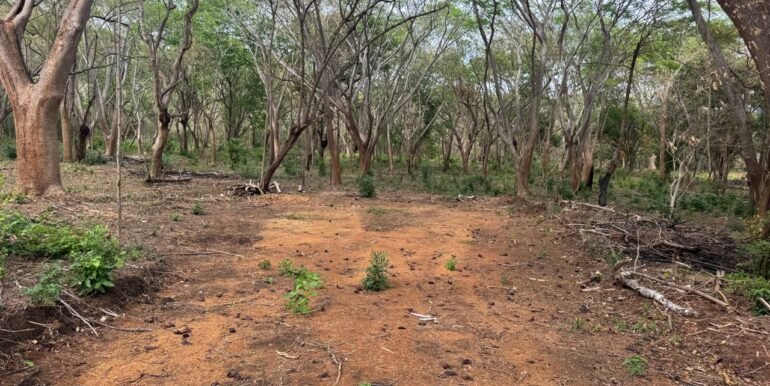 WhatsApp Image 2025-05-27 at 13.34.12 (5)