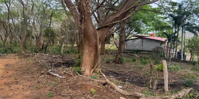 WhatsApp Image 2025-05-27 at 13.34.12 (6)