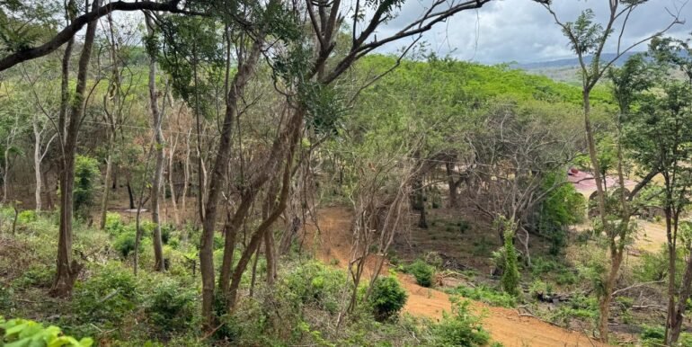 WhatsApp Image 2025-05-27 at 13.34.12