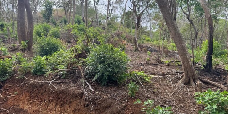 WhatsApp Image 2025-05-27 at 13.34.12 (8)