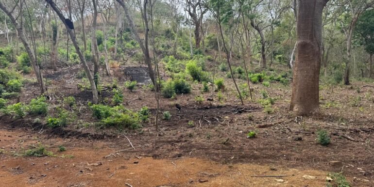 WhatsApp Image 2025-05-27 at 13.34.12 (9)