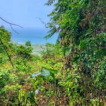 Papayal Lot 46, Ocean View, Serene Jungle Privacy 2b