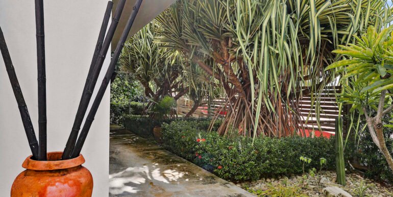 Luxury Oasis in Town_Exterior_Walkway_CC