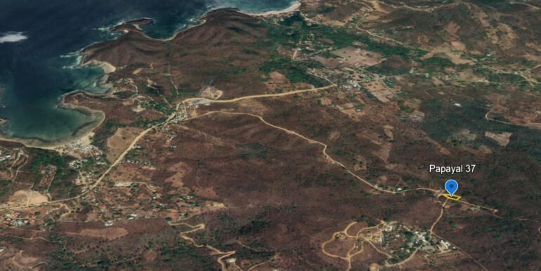 Papayal37 (10)