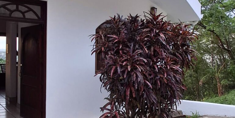 Paradise_Bay_Vizcaya_Home_Horizonte_Nica_21-Editado-scaled