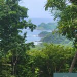 2025 January Monthly Update