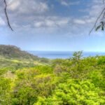 42 Acres Visionary Land with Panoramic Ocean Views Papayal42acres (4)
