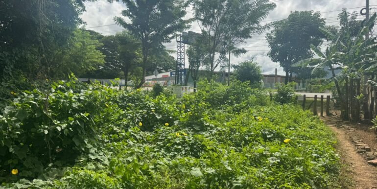 WhatsApp Image 2025-11-18 at 14.04.28 (2)