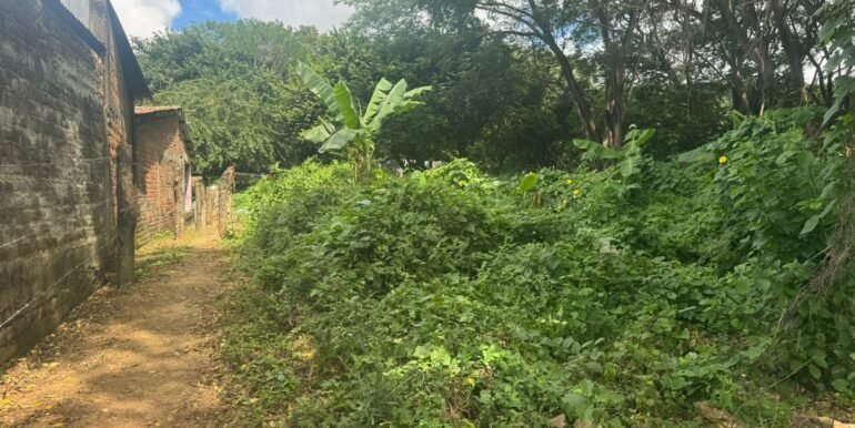 WhatsApp Image 2025-11-18 at 14.04.28 (3)