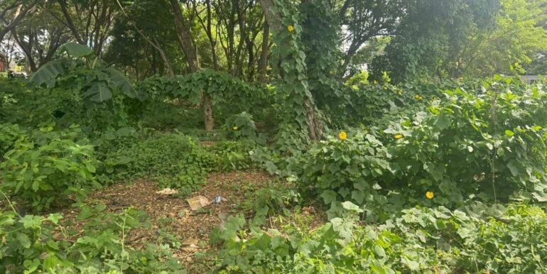 WhatsApp Image 2025-11-18 at 14.04.28 (4)