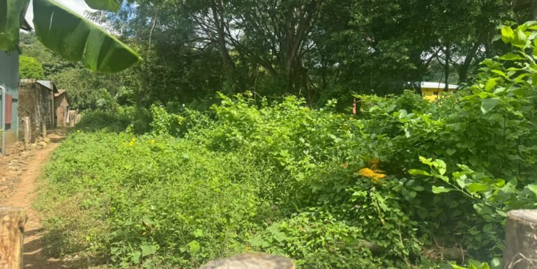 WhatsApp Image 2025-11-18 at 14.04.29 (1)