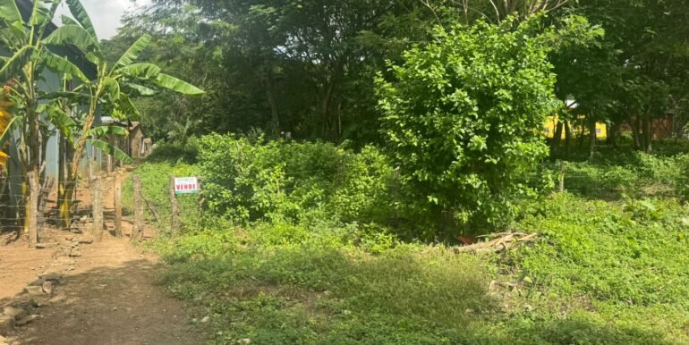 WhatsApp Image 2025-11-18 at 14.04.29 (2)