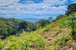 Lot 79, Your Dream Lot with Plans, Ocean View, Paradise Bay