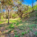 Walk to town, Build Ready, Lot 14 Marbello 4Marbello15 (6)