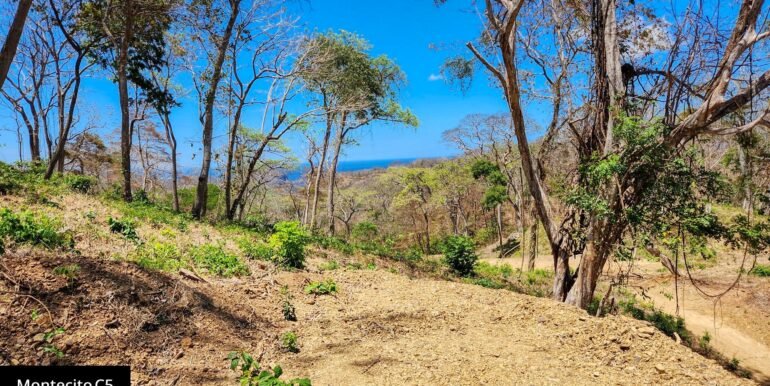 MC5_landreal