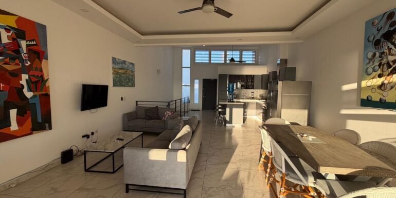 8 Triplex 2 liv din afternoon art look E