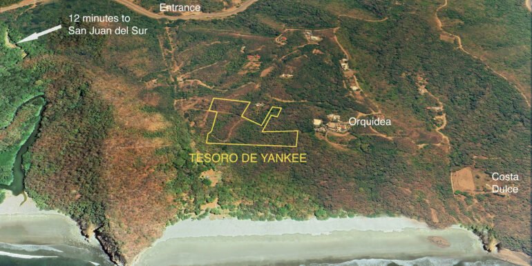 Tesoro Yankee Google 04.26