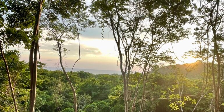 Tesoro Yankee Vista 2025