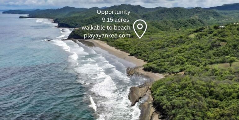 Tesoro de Yankee Aerial with Beach
