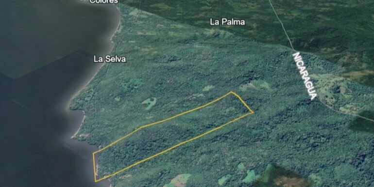 zmap1